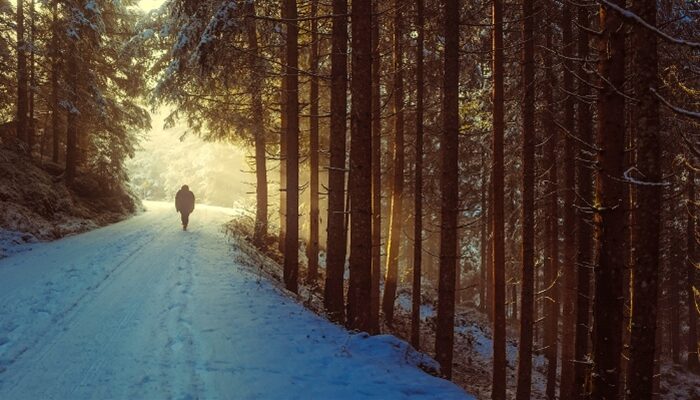 Böhm: „Schritt in die richtige Richtung“